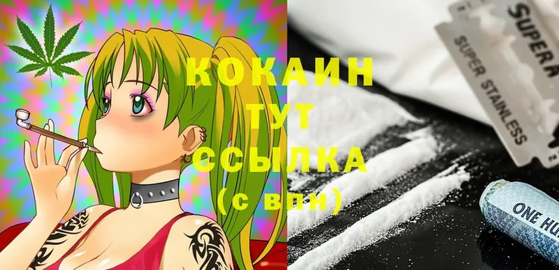 где можно купить   Балей  Cocaine 98% 